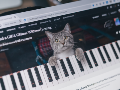 wie du gifs in wordpress einfügst ohne performance zu verlieren